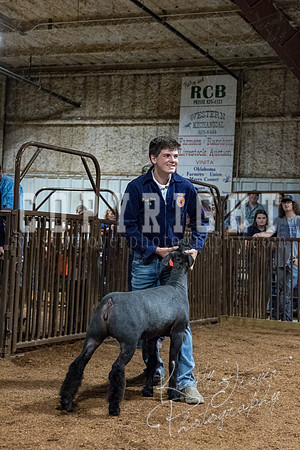 mayes_county_fair_premium_sale_2493