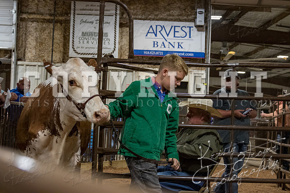 mayes_county_fair_premium_sale_2494