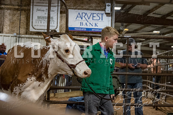 mayes_county_fair_premium_sale_2495