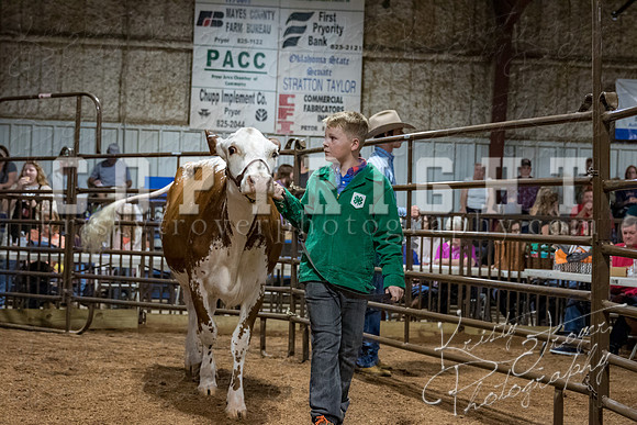 mayes_county_fair_premium_sale_2496