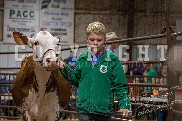 mayes_county_fair_premium_sale_2497