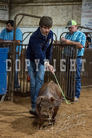 mayes_county_fair_premium_sale_2498