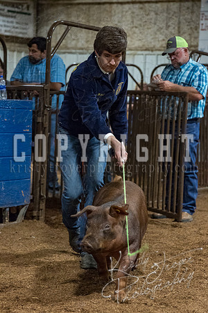 mayes_county_fair_premium_sale_2499