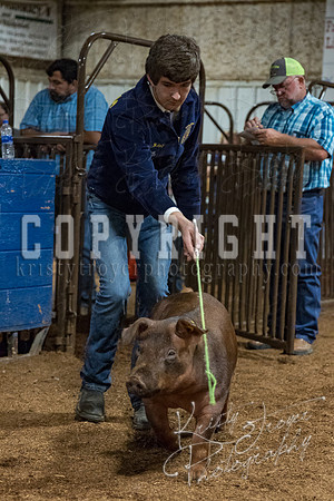 mayes_county_fair_premium_sale_2500