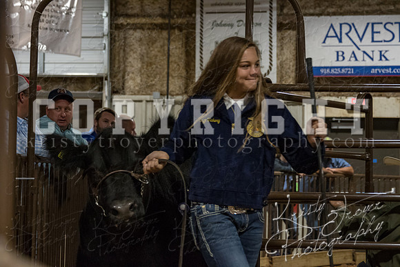 mayes_county_fair_premium_sale_2502
