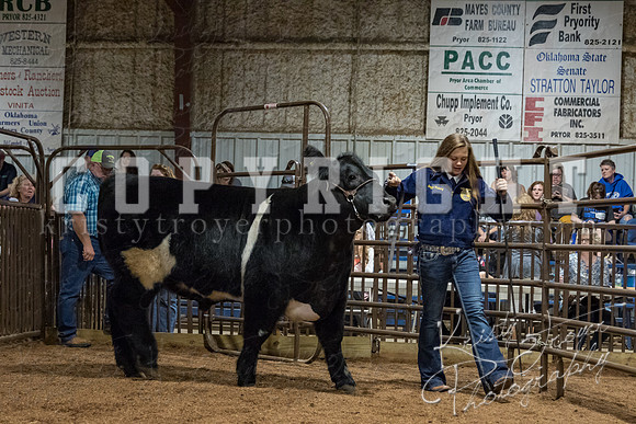 mayes_county_fair_premium_sale_2503