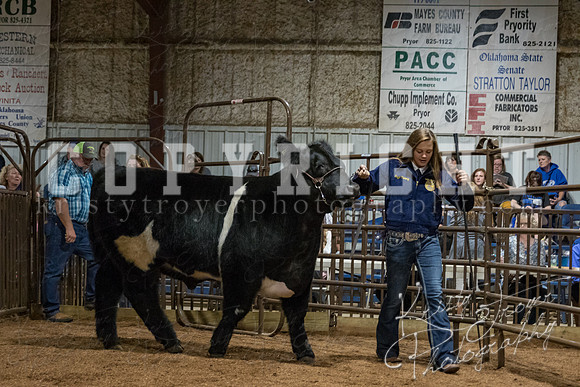 mayes_county_fair_premium_sale_2504