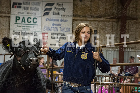 mayes_county_fair_premium_sale_2505