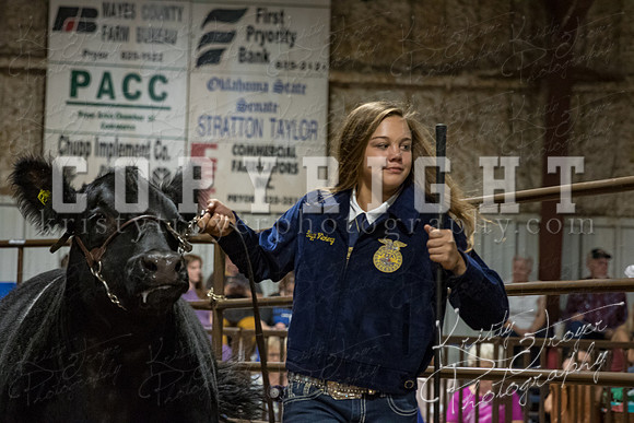 mayes_county_fair_premium_sale_2506