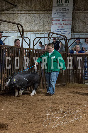 mayes_county_fair_premium_sale_2508