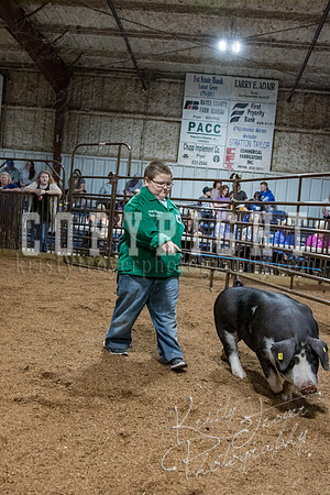 mayes_county_fair_premium_sale_2507