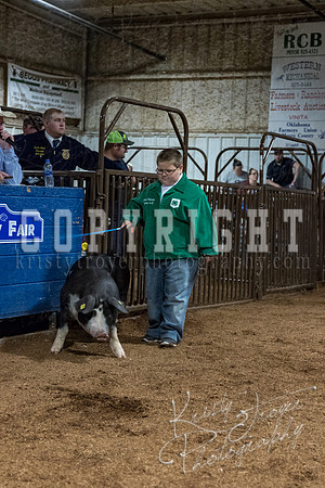 mayes_county_fair_premium_sale_2509