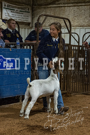 mayes_county_fair_premium_sale_2510