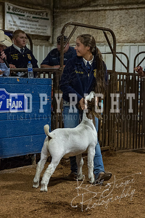 mayes_county_fair_premium_sale_2511