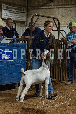 mayes_county_fair_premium_sale_2512