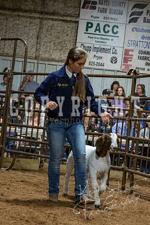 mayes_county_fair_premium_sale_2513