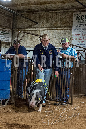 mayes_county_fair_premium_sale_2514