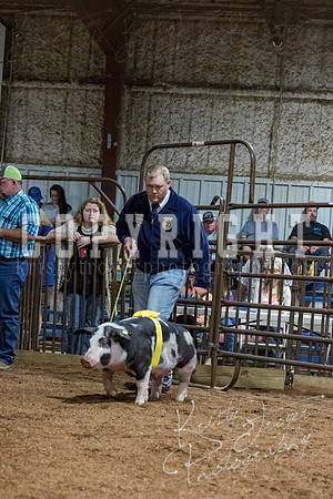mayes_county_fair_premium_sale_2515