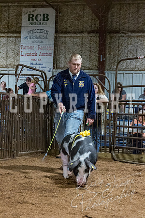 mayes_county_fair_premium_sale_2516