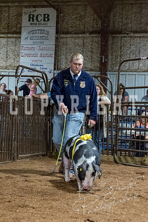 mayes_county_fair_premium_sale_2517