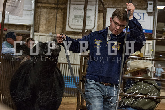 mayes_county_fair_premium_sale_2518