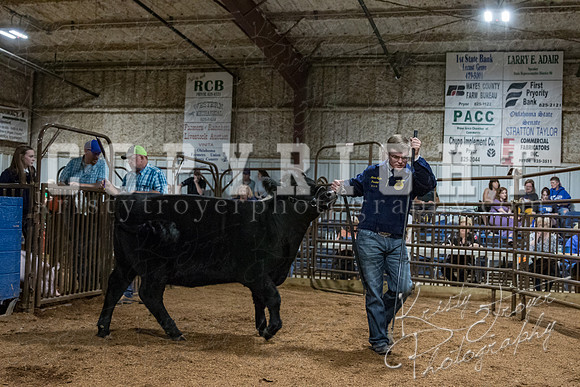 mayes_county_fair_premium_sale_2519