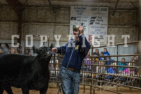 mayes_county_fair_premium_sale_2520