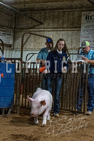 mayes_county_fair_premium_sale_2521