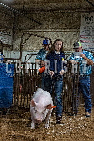 mayes_county_fair_premium_sale_2522