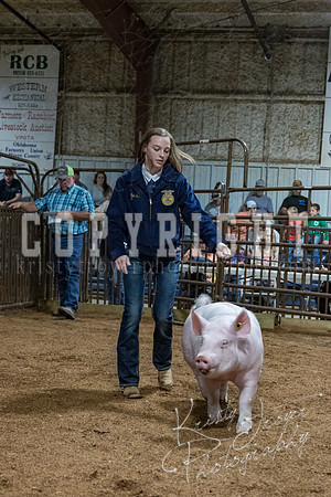 mayes_county_fair_premium_sale_2523