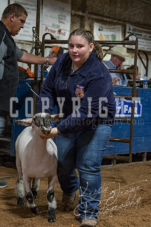 mayes_county_fair_premium_sale_2524
