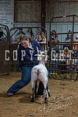 mayes_county_fair_premium_sale_2525