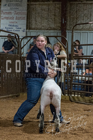 mayes_county_fair_premium_sale_2526