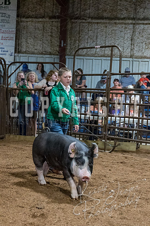 mayes_county_fair_premium_sale_2527
