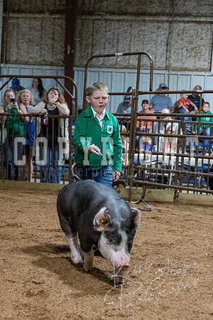 mayes_county_fair_premium_sale_2528