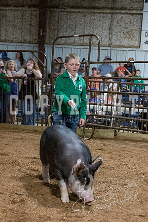 mayes_county_fair_premium_sale_2529