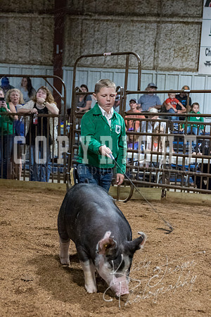 mayes_county_fair_premium_sale_2530