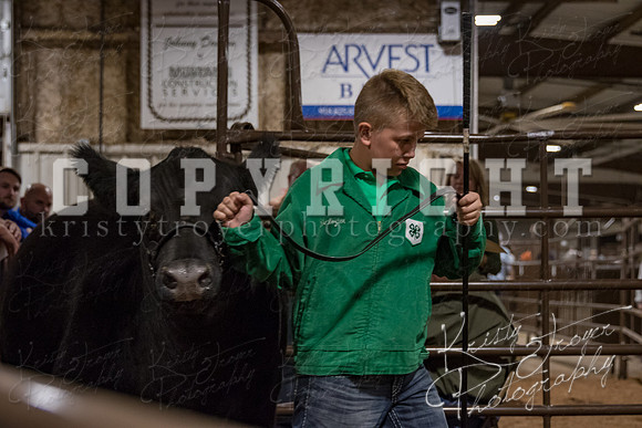 mayes_county_fair_premium_sale_2531