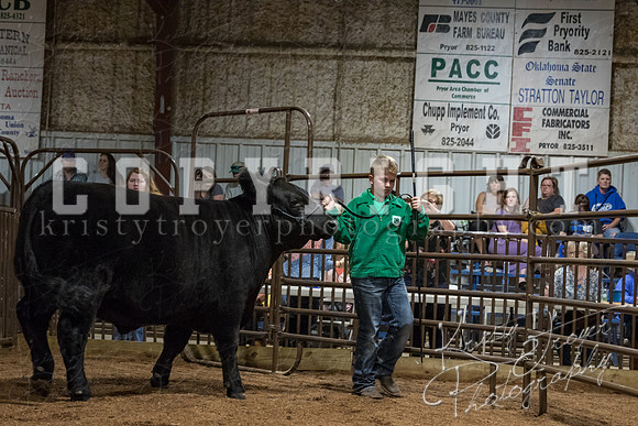 mayes_county_fair_premium_sale_2532