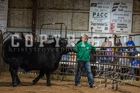 mayes_county_fair_premium_sale_2533