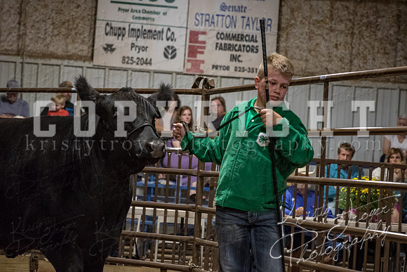 mayes_county_fair_premium_sale_2534