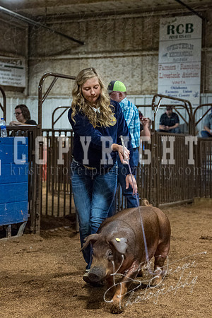 mayes_county_fair_premium_sale_2535