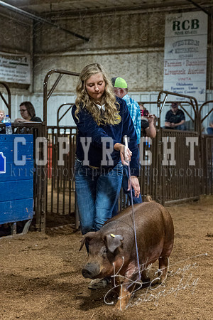 mayes_county_fair_premium_sale_2536