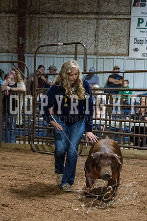mayes_county_fair_premium_sale_2537