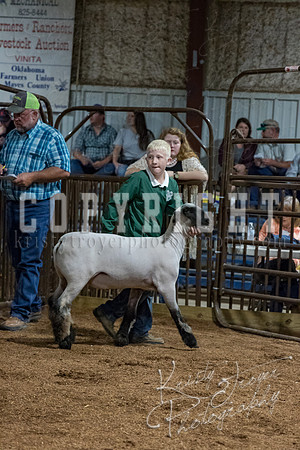 mayes_county_fair_premium_sale_2538