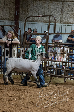 mayes_county_fair_premium_sale_2539