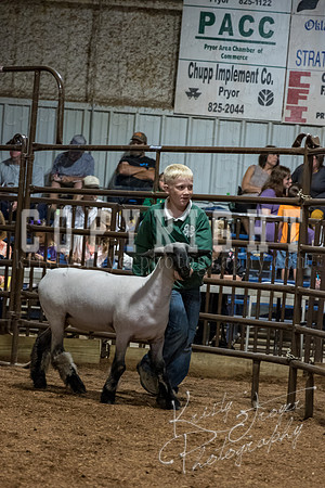 mayes_county_fair_premium_sale_2540