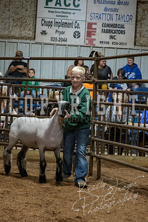 mayes_county_fair_premium_sale_2541
