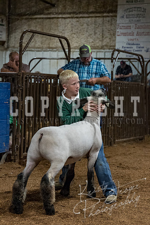 mayes_county_fair_premium_sale_2542