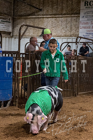 mayes_county_fair_premium_sale_2543